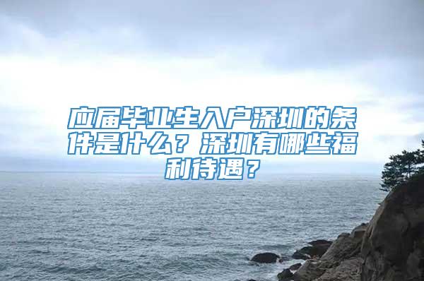 应届毕业生入户深圳的条件是什么？深圳有哪些福利待遇？