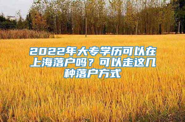 2022年大专学历可以在上海落户吗？可以走这几种落户方式