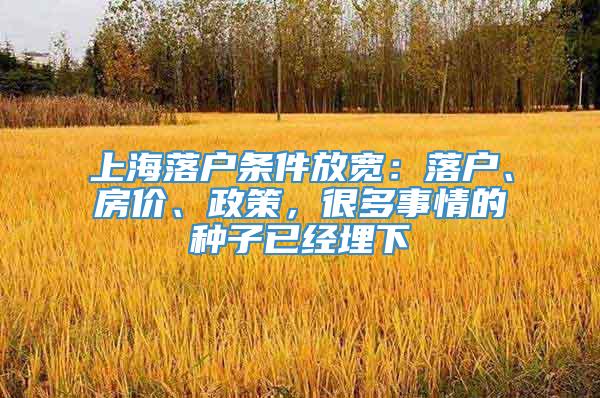 上海落户条件放宽：落户、房价、政策，很多事情的种子已经埋下