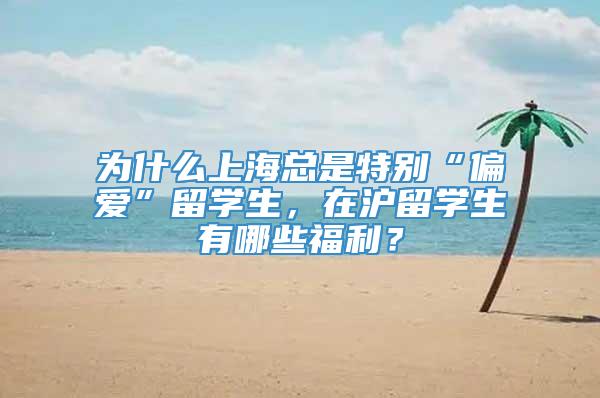 为什么上海总是特别“偏爱”留学生，在沪留学生有哪些福利？