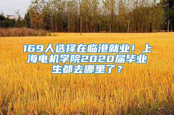 169人选择在临港就业！上海电机学院2020届毕业生都去哪里了？