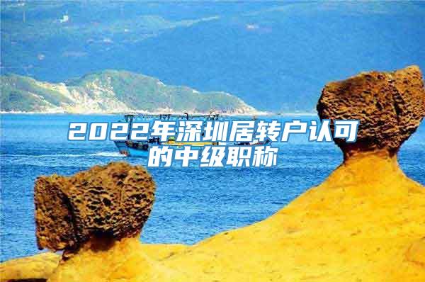 2022年深圳居转户认可的中级职称