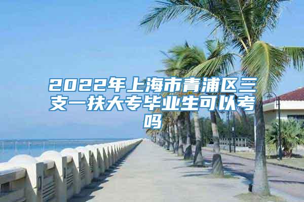 2022年上海市青浦区三支一扶大专毕业生可以考吗