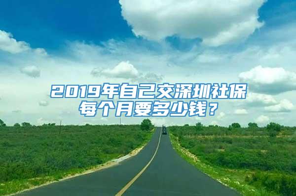 2019年自己交深圳社保每个月要多少钱？
