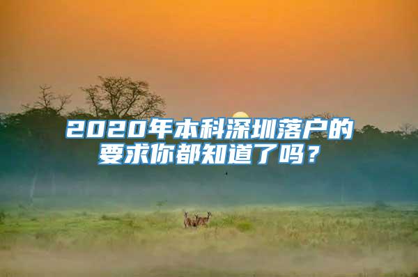 2020年本科深圳落户的要求你都知道了吗？