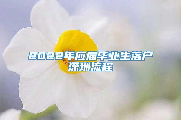2022年应届毕业生落户深圳流程