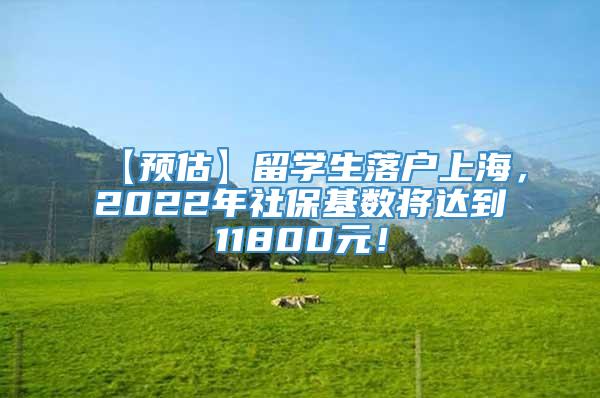 【预估】留学生落户上海，2022年社保基数将达到11800元！