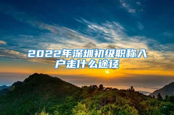 2022年深圳初级职称入户走什么途径