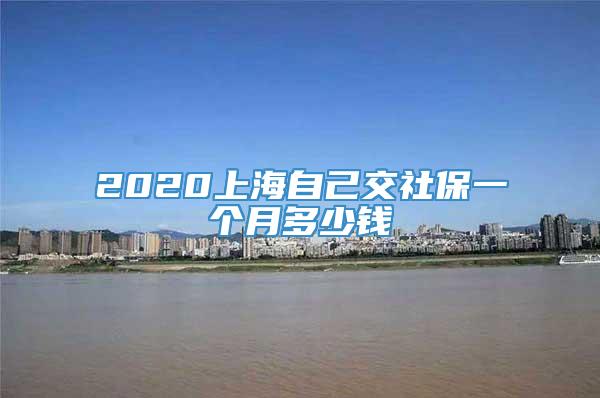2020上海自己交社保一个月多少钱