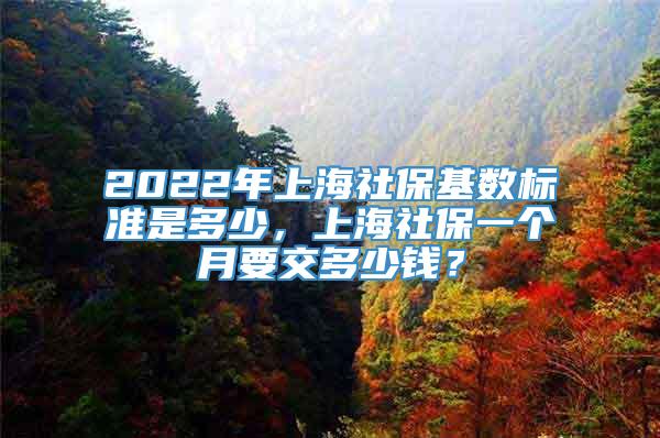 2022年上海社保基数标准是多少，上海社保一个月要交多少钱？