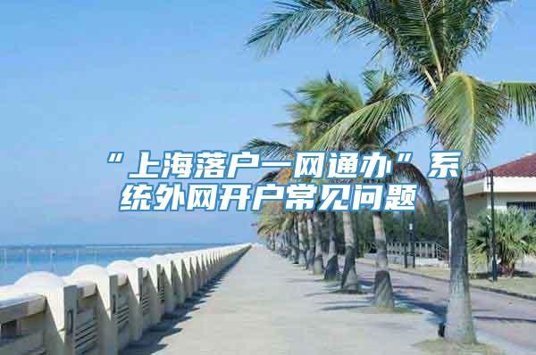 “上海落户一网通办”系统外网开户常见问题