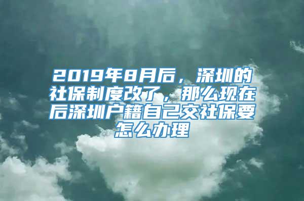 2019年8月后，深圳的社保制度改了，那么现在后深圳户籍自己交社保要怎么办理