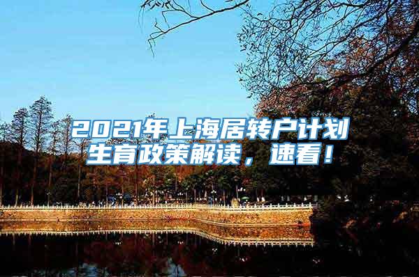 2021年上海居转户计划生育政策解读，速看！