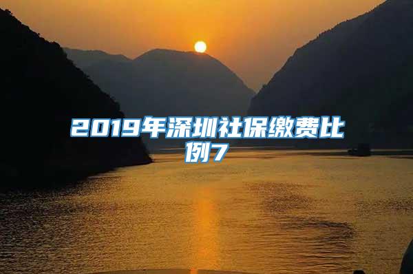 2019年深圳社保缴费比例7