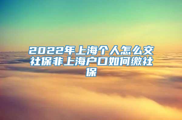 2022年上海个人怎么交社保非上海户口如何缴社保
