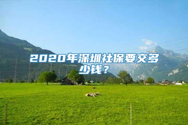 2020年深圳社保要交多少钱？