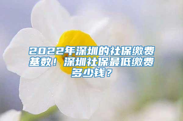 2022年深圳的社保缴费基数！深圳社保最低缴费多少钱？