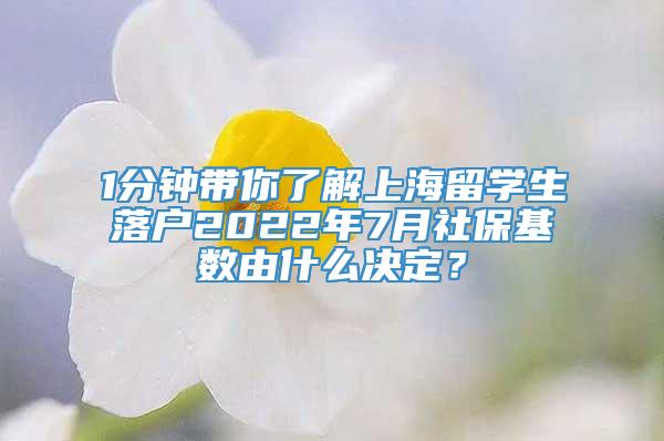 1分钟带你了解上海留学生落户2022年7月社保基数由什么决定？