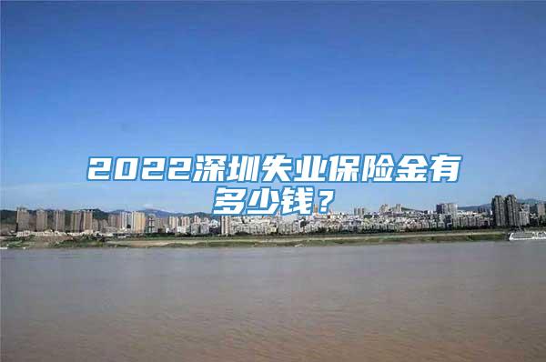 2022深圳失业保险金有多少钱？