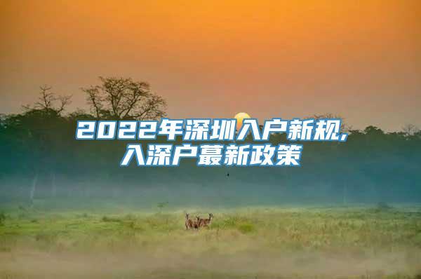 2022年深圳入户新规,入深户蕞新政策