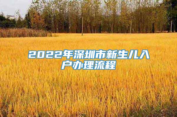 2022年深圳市新生儿入户办理流程