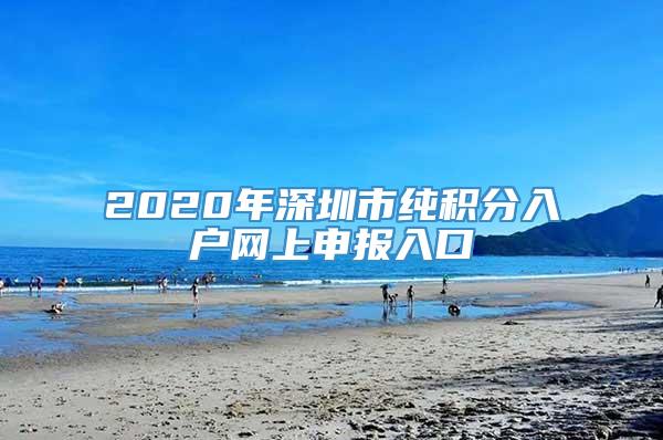 2020年深圳市纯积分入户网上申报入口