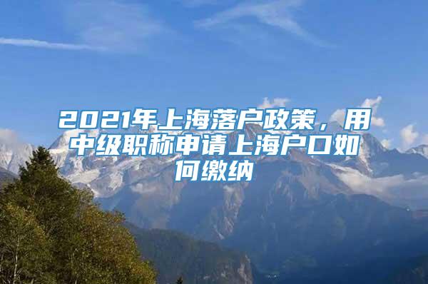 2021年上海落户政策，用中级职称申请上海户口如何缴纳