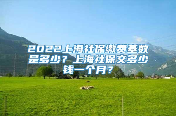 2022上海社保缴费基数是多少？上海社保交多少钱一个月？