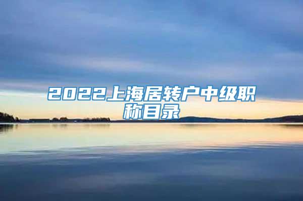 2022上海居转户中级职称目录