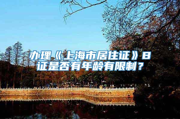 办理《上海市居住证》B证是否有年龄有限制？
