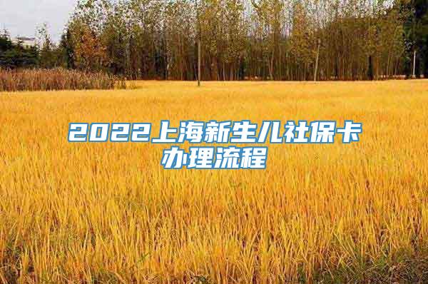 2022上海新生儿社保卡办理流程
