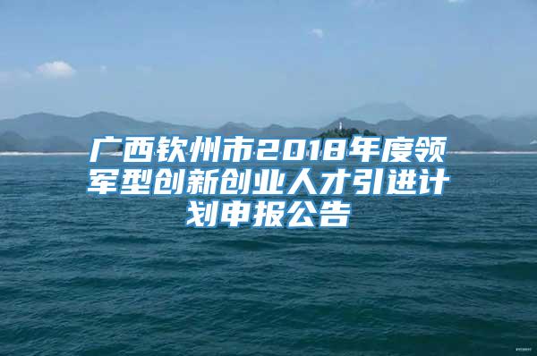 广西钦州市2018年度领军型创新创业人才引进计划申报公告
