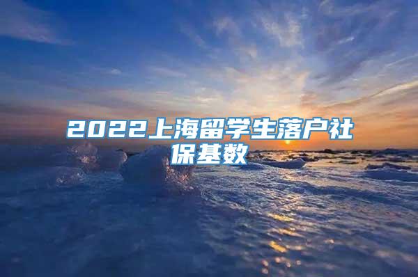 2022上海留学生落户社保基数