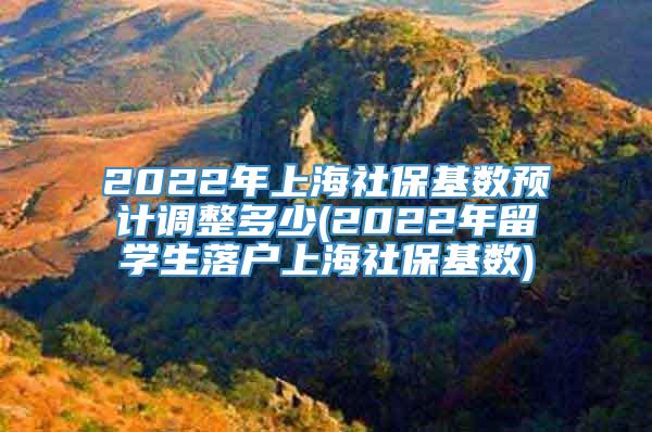 2022年上海社保基数预计调整多少(2022年留学生落户上海社保基数)
