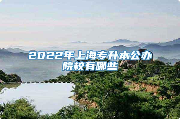 2022年上海专升本公办院校有哪些