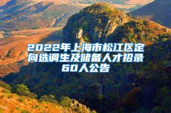 2022年上海市松江区定向选调生及储备人才招录60人公告