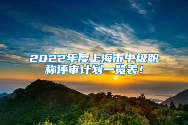 2022年度上海市中级职称评审计划一览表！
