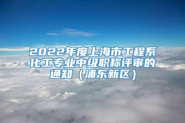 2022年度上海市工程系化工专业中级职称评审的通知（浦东新区）