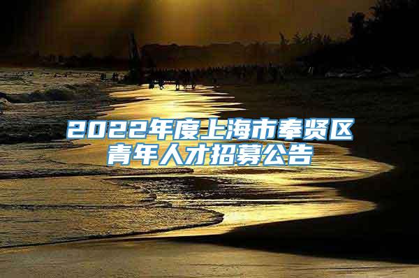 2022年度上海市奉贤区青年人才招募公告
