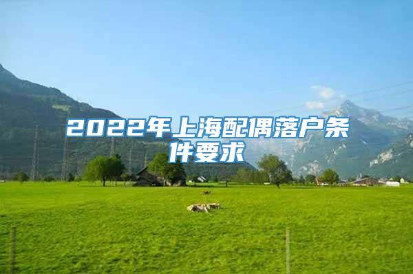 2022年上海配偶落户条件要求