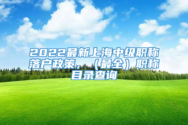2022最新上海中级职称落户政策，（最全）职称目录查询