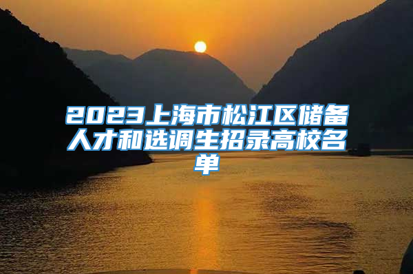 2023上海市松江区储备人才和选调生招录高校名单
