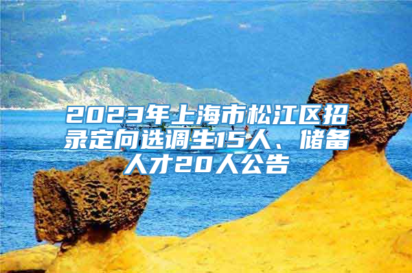 2023年上海市松江区招录定向选调生15人、储备人才20人公告