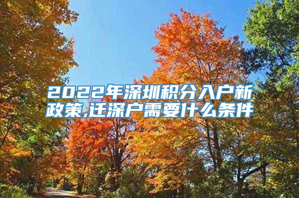 2022年深圳积分入户新政策,迁深户需要什么条件