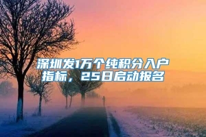 深圳发1万个纯积分入户指标，25日启动报名