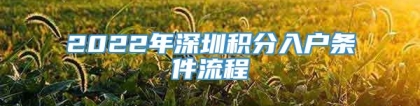 2022年深圳积分入户条件流程