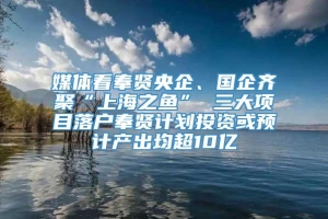 媒体看奉贤央企、国企齐聚“上海之鱼” 三大项目落户奉贤计划投资或预计产出均超10亿
