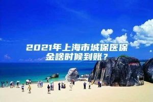 2021年上海市城保医保金啥时候到账？