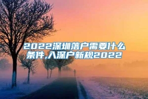 2022深圳落户需要什么条件,入深户新规2022