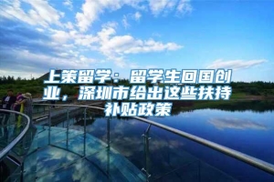 上策留学：留学生回国创业，深圳市给出这些扶持补贴政策_重复